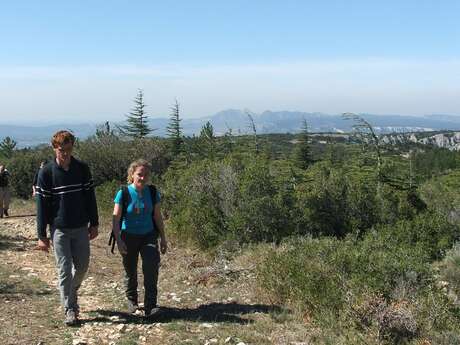 CHEVAL-BLANC - Sentier du Trou du Rat par Mayorques