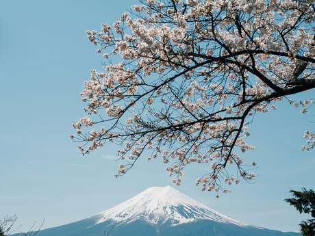 Conference - Mount Fuji: a mountain of a thousand faces, between religious heritage and external representations - Saint-Gervais sous les Sakuras