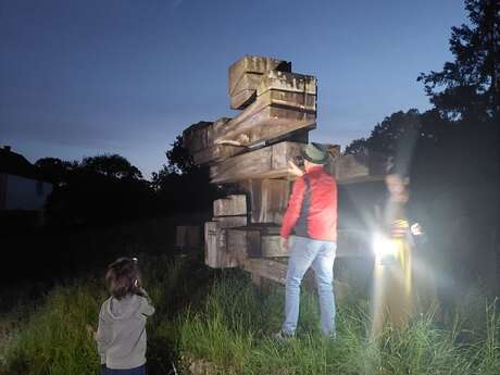 Visite guidée, « Le parc de sculptures de la Faisanderie de Sénart en nocturne »
