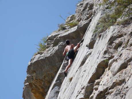 Site d'escalade du Rocher de Junic