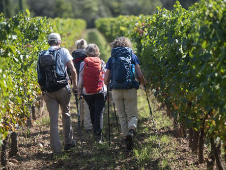 Itinéraire pédestre Gréoux-Les-Bains "Rousset"