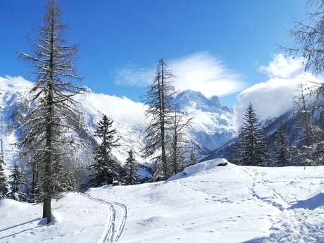Boucle des Granges : raquette Vallorcine