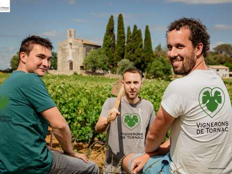Visite dégustation : Cave Coopérative Des Vignerons de Tornac