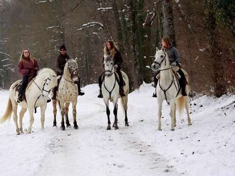 Bon cadeau : randonnée gourmande à cheval