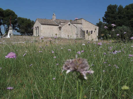 Bouches-du-Rhône en Paysages - Noves Les collines et la plaine du Comtat à vélo