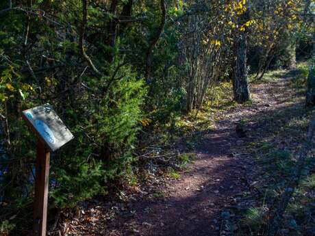 Promenade : Le Lac du Rioutard - Saint-Paul-en-Forêt