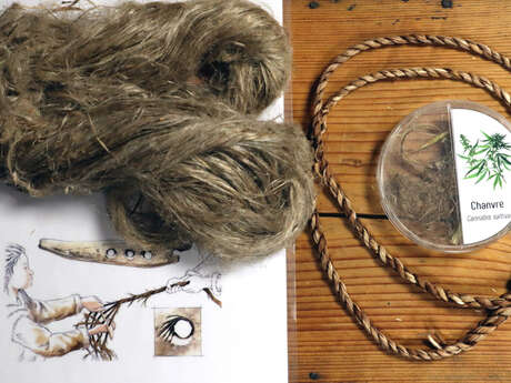 Au labo des Ilettes : Avoir la fibre