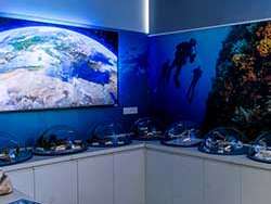 Regard sous la Mer. Patrimoine subaquatique naturel et culturel méditerranéen