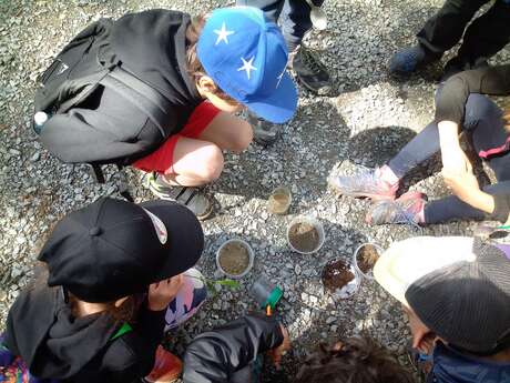 Insectes, petites bêtes et vie du sol : randonnée à la rencontre du petit peuple animal.