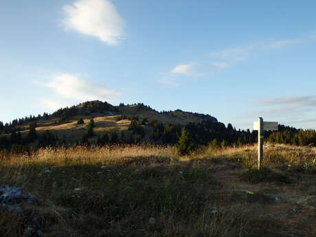 Circuit Trail 3 - Boucle de Nifflon