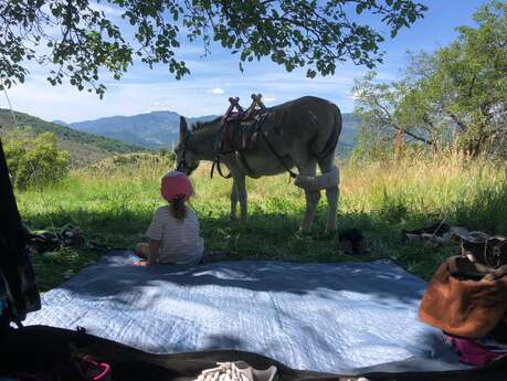 Camping à la ferme Bamboul'âne