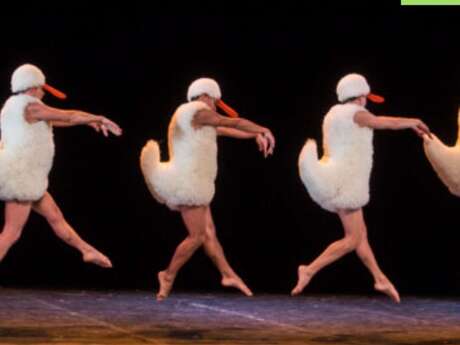 Danse - Tutu - Théâtre L'Escale
