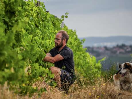 Le domaine des Bardes