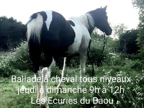 Les écuries du Baou