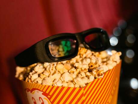 Le secret de la licorne