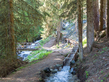 Association Les Amis du Bisse