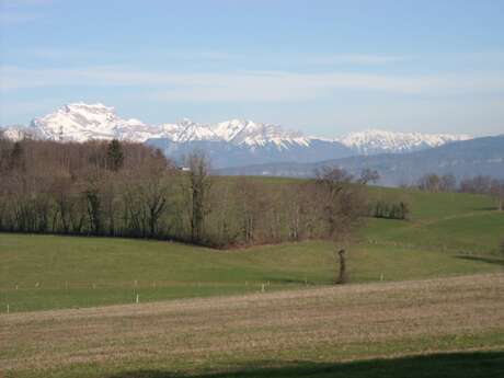 Circuit 8 - Le vieux four (centre VTT-FFC de l'Albanais)