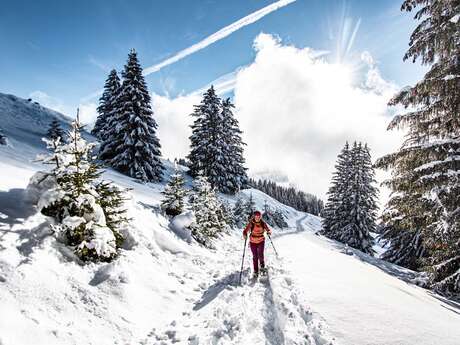 Sneeuwschoen route - Pas de Morgins