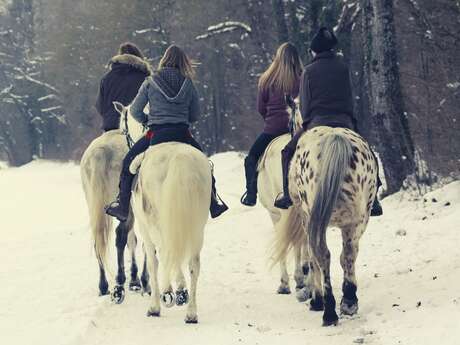 Balade hivernale à cheval