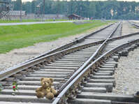 Conférences - Mémoires à l'Espace Perbosc