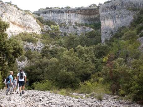 Combe de Curnier