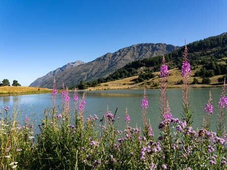 Lac de Barbeyroux