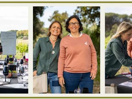 Tasting workshop in the heart of the vineyard