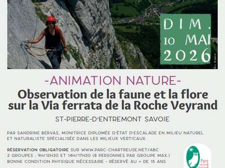 Observation de la faune et la flore sur la Via ferrata de la Roche Veyrand