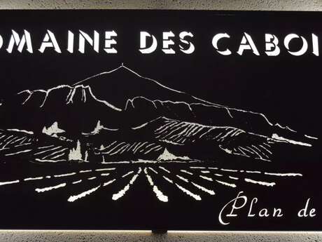 Domaine des Caboits