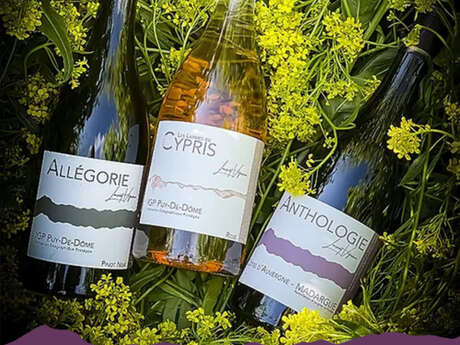 Domaine Laurent Vigneron