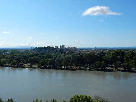 L'histoire et le Rhône à Avignon
