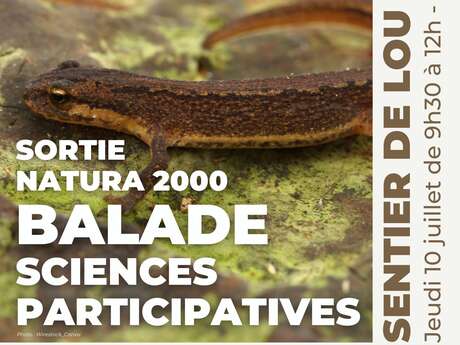 Sortie Natura 2000 : Balade Sciences Participatives