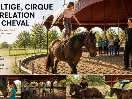 Descubre el mundo de los caballos de otra manera: cursos y actividades familiares bajo la carpa de ARDEVAC