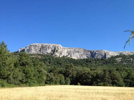 La Sainte Baume - Circuit 3