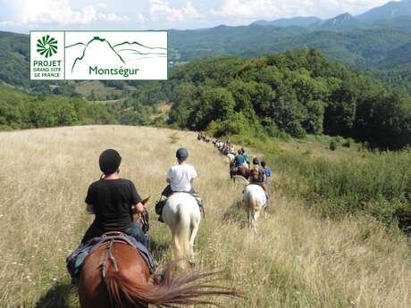 Excursion à cheval au coeur du monde rural