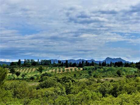 SAINT MARTIN DE CRAU - Circuit of Garrigue