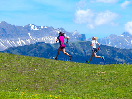 Stages et sorties trail en montagne