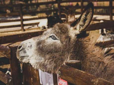 Ferme animalière d'Auriol