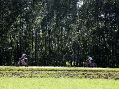 Boucle VTT : la Plaine et le village des Vallons