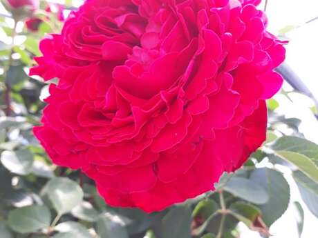 Les Jardins de Christine