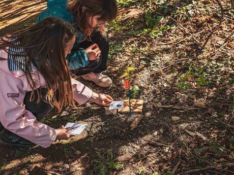 Gravière aux Oiseaux - Petits Trappeurs