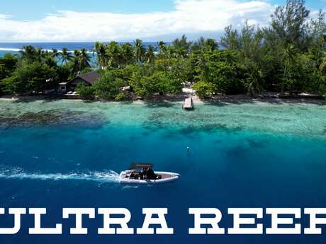 Ultra Reef