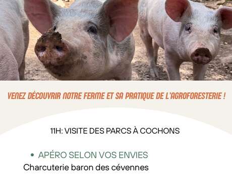 Repas à la ferme