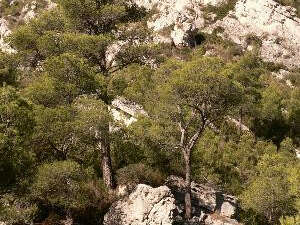 La Penne, au-dessus de la vallée de Huveaune