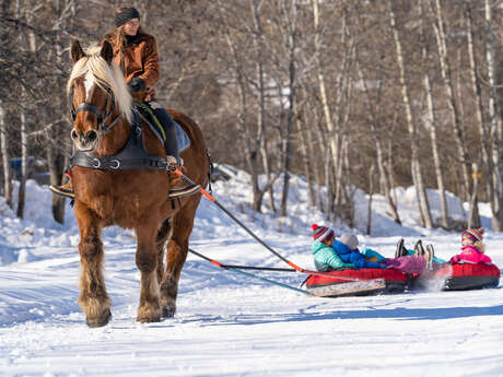 Bouées tractées par un cheval