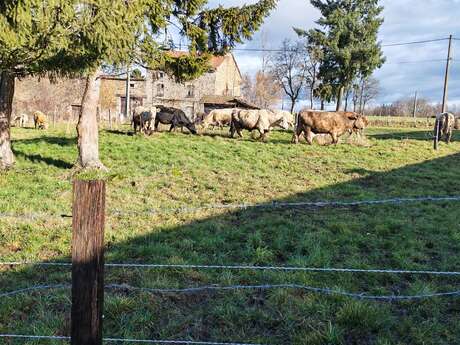 Balade à la Ferme "Gaec de la Blanchette"