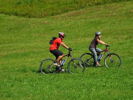 Mezza giornata di mountain bike a pedalata assistita