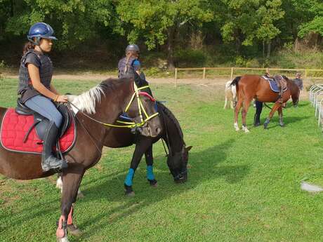 Vacances Nature avec les Poneys, les Chevaux.