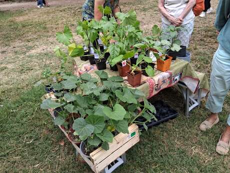 Bourses aux plantes