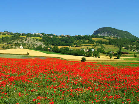 Village de Selonnet